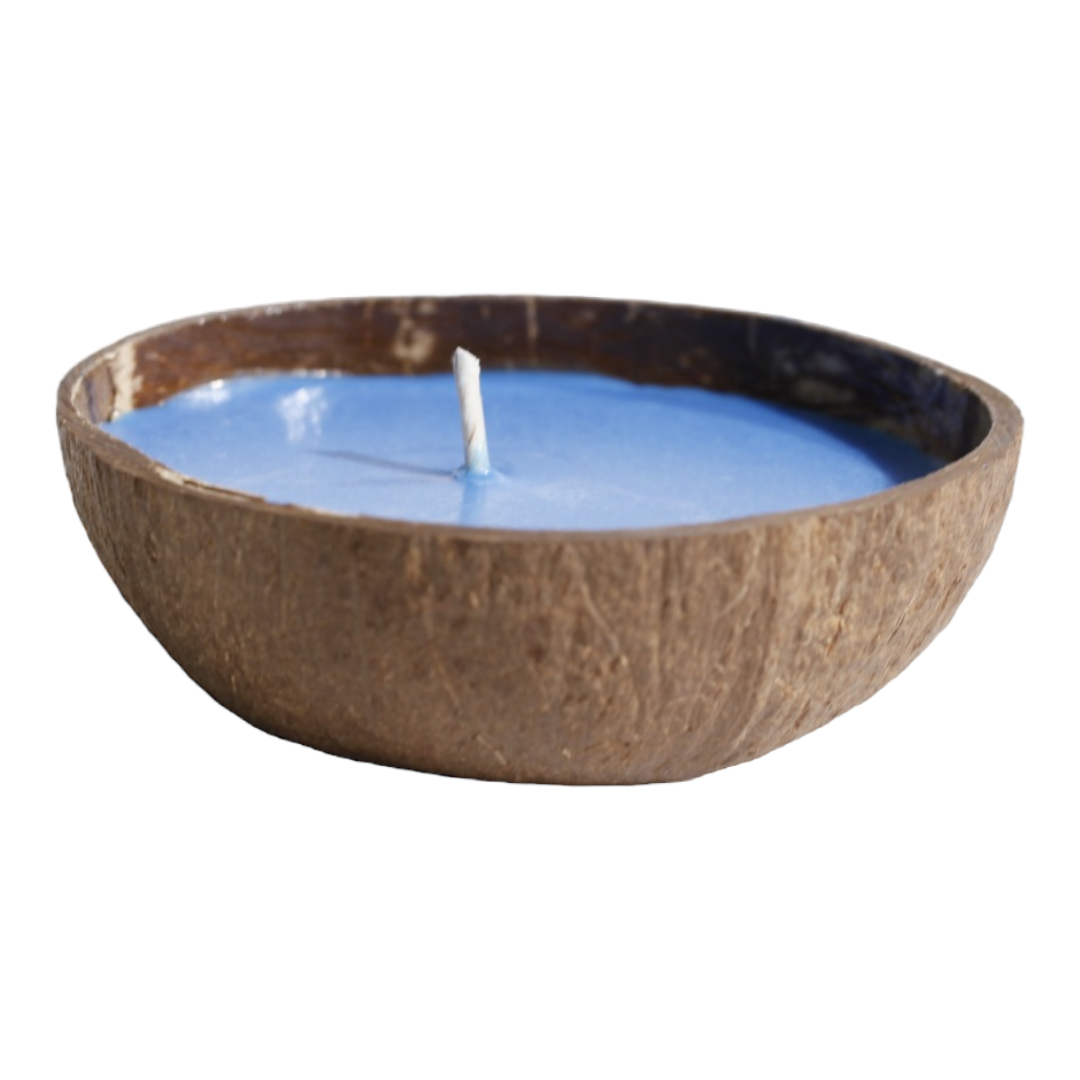 6oz Coconut Bowl Candle