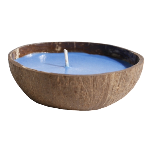 6oz Coconut Bowl Candle